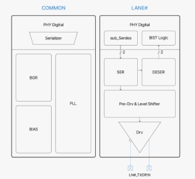 Block Diagram -- Intra-panel TX PHY IP 